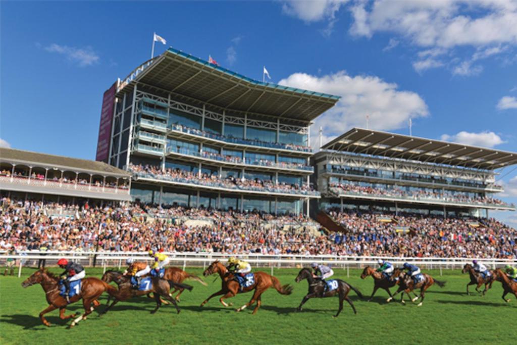 Entire Home/free Parking /racecourse *